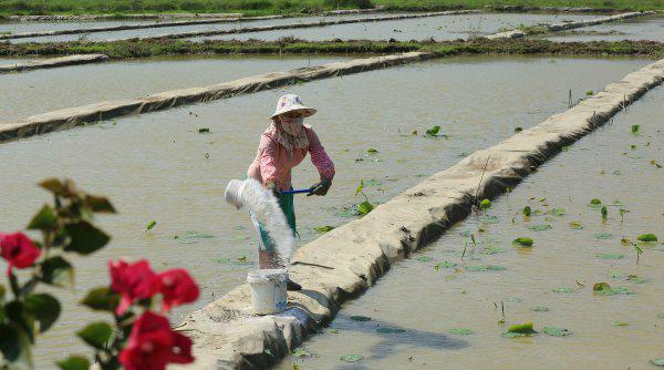 生石灰是什么物质