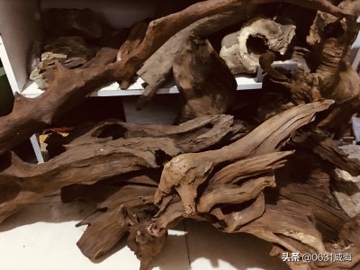 鱼缸沉木什么木头最佳 鱼缸里普通木头可以当沉木用吗