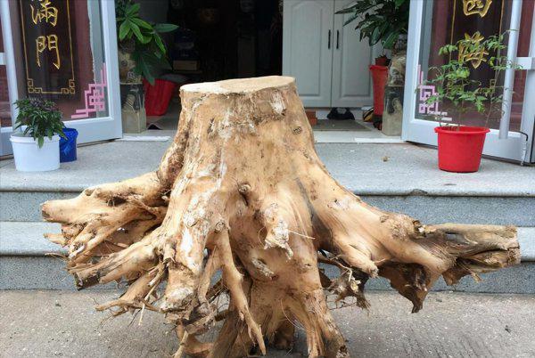 鱼缸沉木什么木头最佳