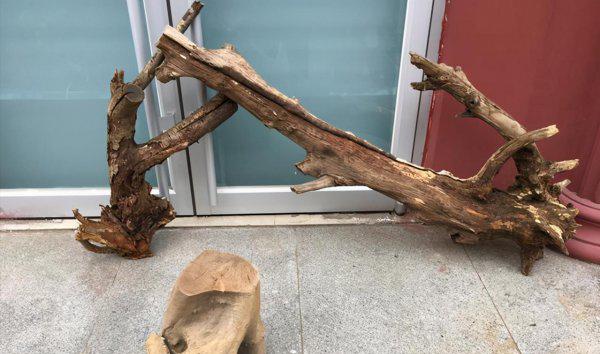 鱼缸沉木什么木头最佳