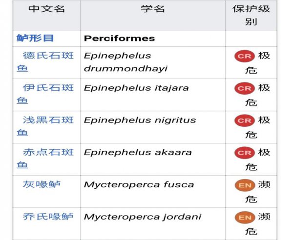 石斑鱼种类有几种
