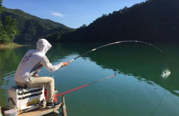 自制饵料配方大全