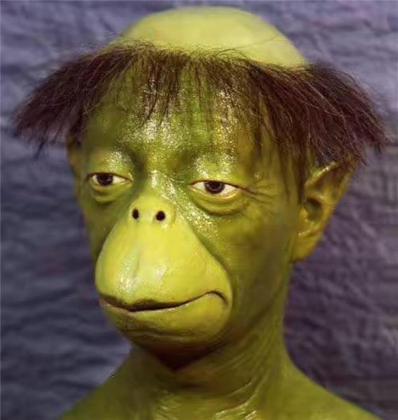 1991年日本河童事件