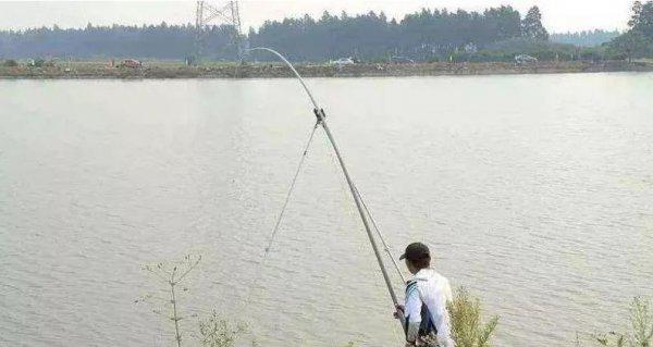 台钓竿和手竿区别有哪些