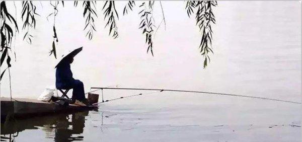 台钓竿和手竿区别有哪些