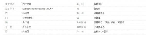 宠物守宫怎么养最好