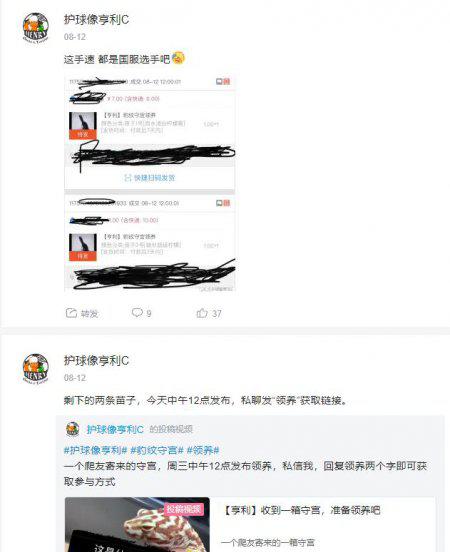 宠物守宫怎么养最好