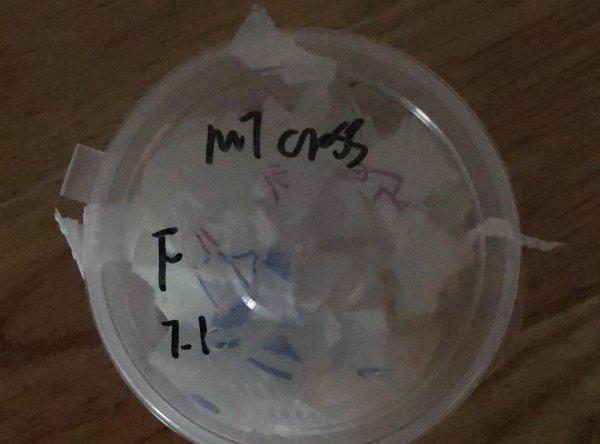 宠物守宫怎么养最好