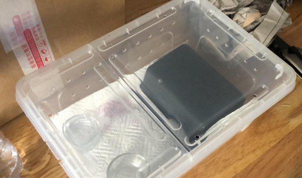 宠物守宫怎么养最好