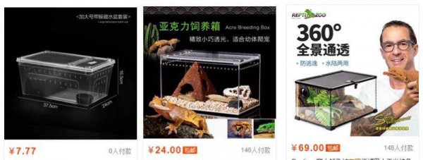 宠物守宫怎么养最好