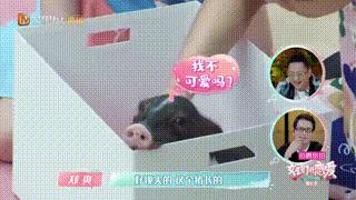 张恒个人简历资料