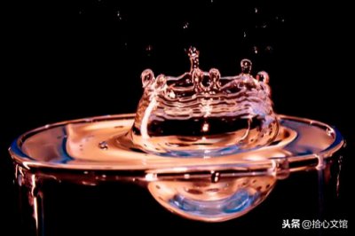 人挪活树挪死是什么意思 人挪活树挪死的含义和作用