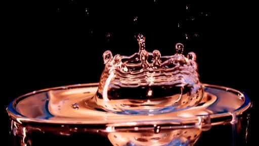 人挪活树挪死是什么意思