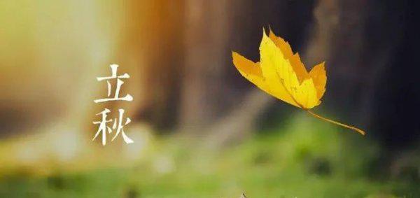 立秋是第几个节气含义是什么