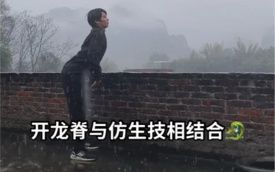 开龙脊正确姿势是什么 开龙脊与仿生技怎么结合最好