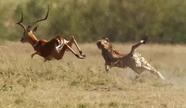 开龙脊正确姿势是什么