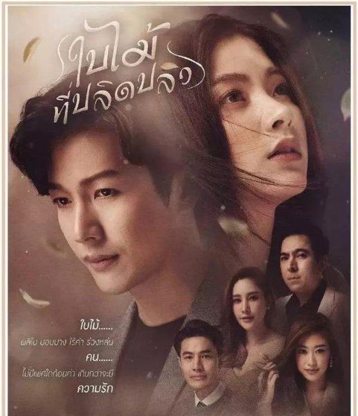 泰国明星推哥个人资料