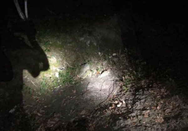 犬鸣隧道发生过什么灵异事件