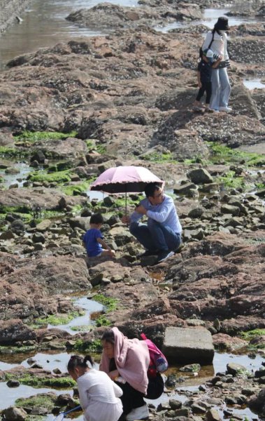 青岛潮汐赶海时间表