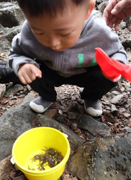 青岛潮汐赶海时间表