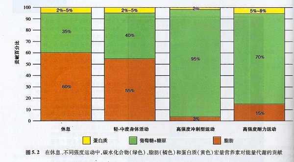 hiit训练是有氧还是无氧