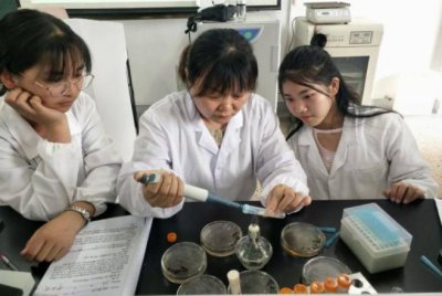 药学专业学什么内容 药学专业的主要课程以及就业前景