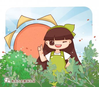 院子永远不长草的方法 杂草全都清光光的6个小要点