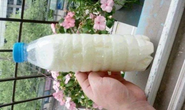 酸奶可以浇花吗