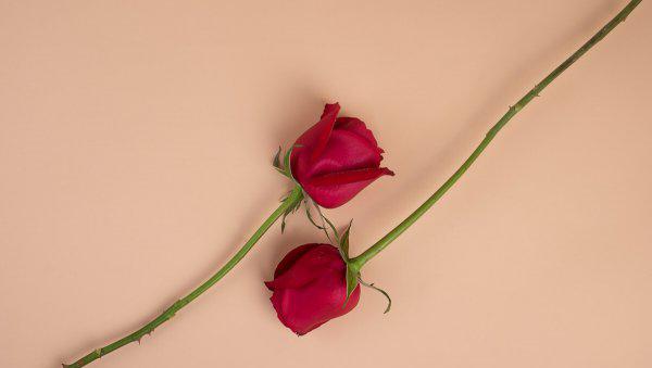 怎么判断射手座动心了