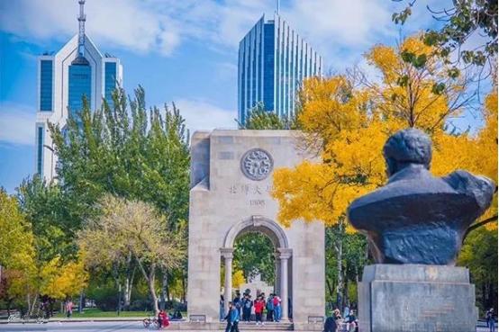 天津大学是985还是211