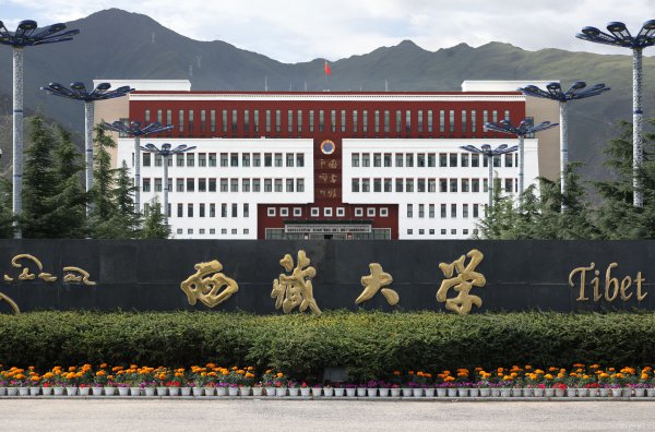 211大学全部排名