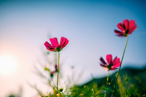 二婚和复婚哪个更好更幸福