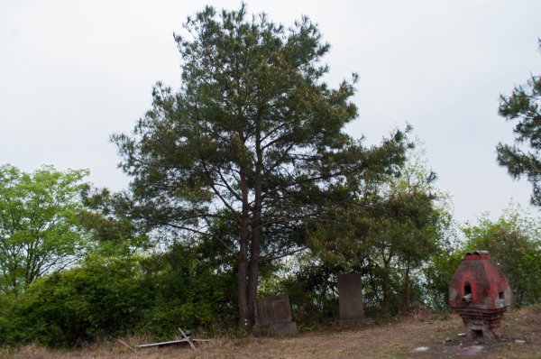 陈塘关是现在的哪里