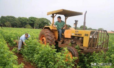 巴西属于哪个洲有多少人 巴西的经济发展情况如何