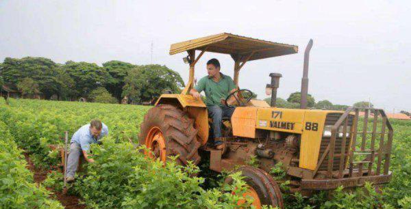 巴西属于哪个洲有多少人