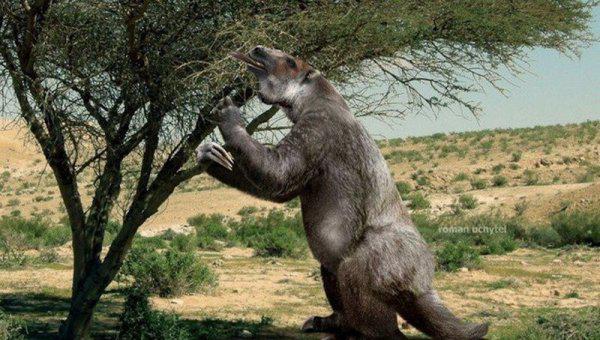 真正水猴子图片长什么样子