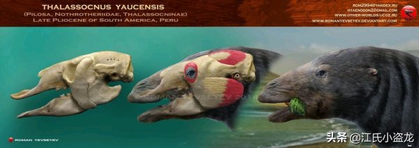 真正水猴子图片长什么样子