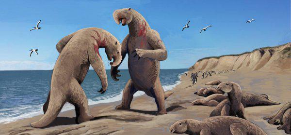 真正水猴子图片长什么样子