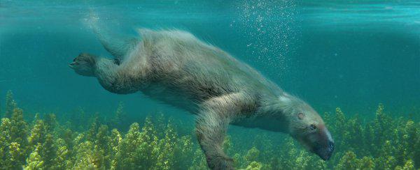 真正水猴子图片长什么样子