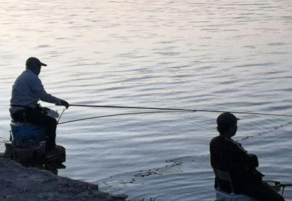 钓鱼小技巧都有哪些