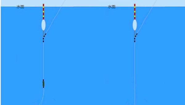 钓黄尾怎么调漂最有效