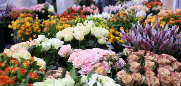 情人节送什么花表示初恋