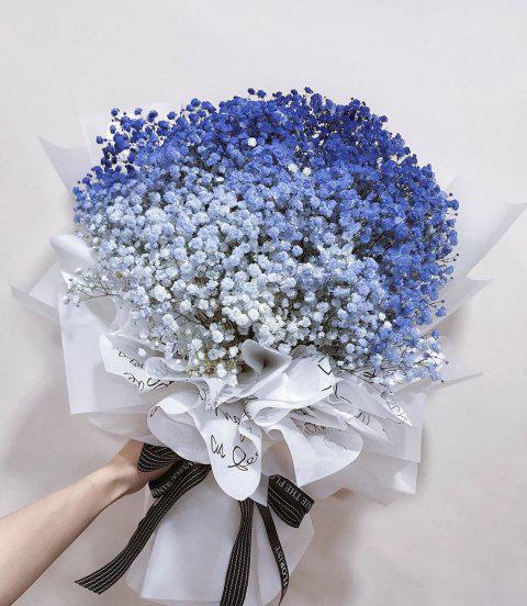 情人节送什么花表示初恋