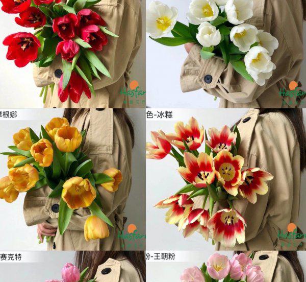 情人节送什么花表示初恋