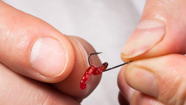 钓鱼红虫饵料怎么挂钩