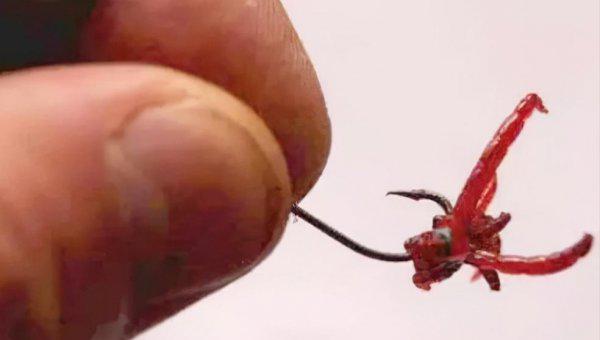 钓鱼红虫饵料怎么挂钩