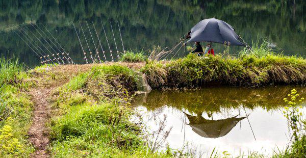 钓鱼红虫饵料怎么挂钩