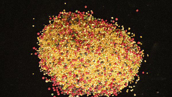 钓鱼红虫饵料怎么挂钩