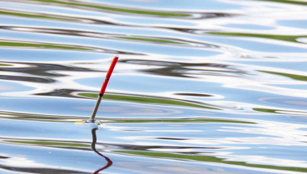 钓鱼红虫饵料怎么挂钩