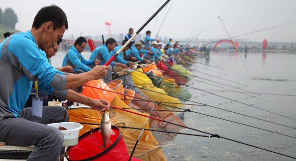 钓鱼红虫饵料怎么挂钩